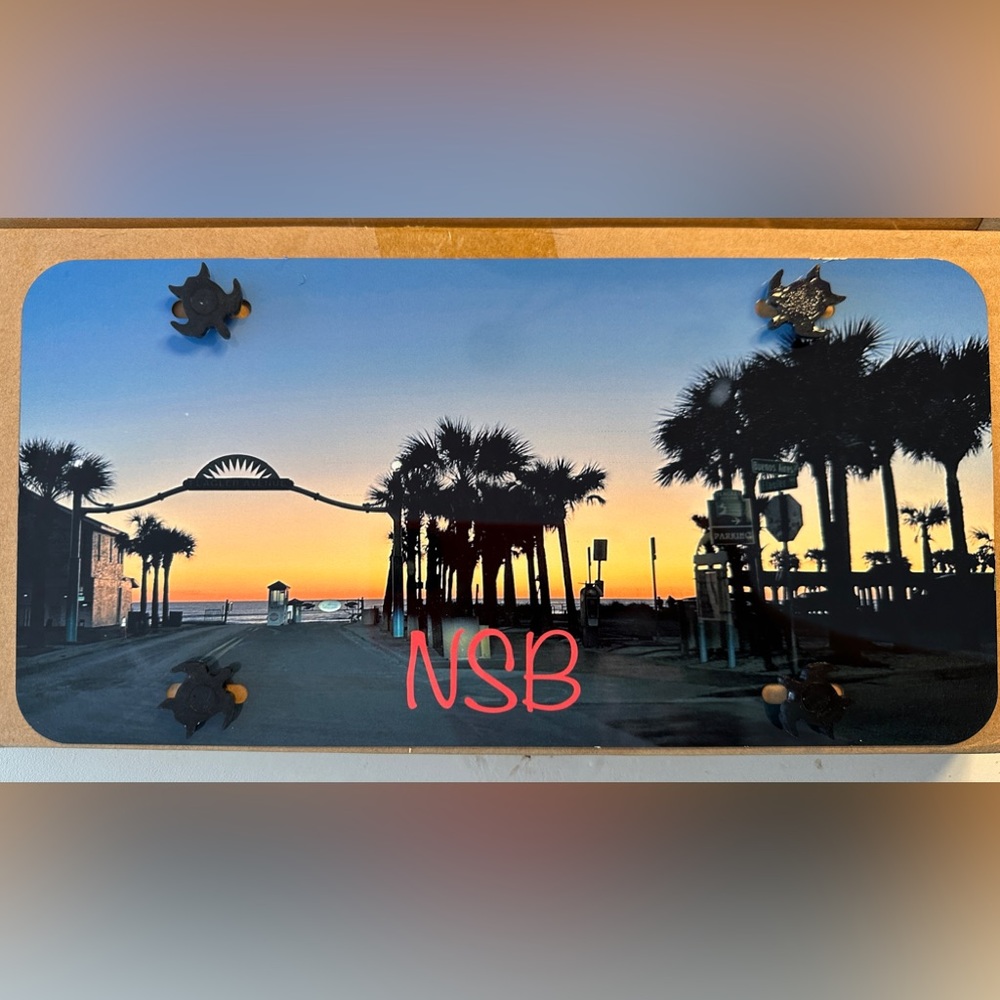 NSB Flagler Ave Sunrise Printed License Plates w/sea turtle screws